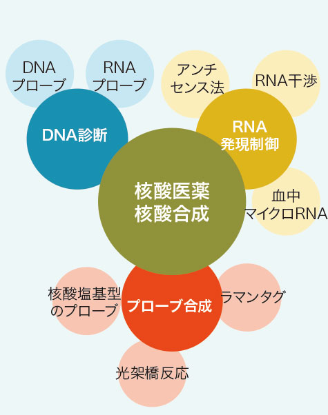 研究者の紹介 京都工芸繊維大学 産学公連携推進センター
